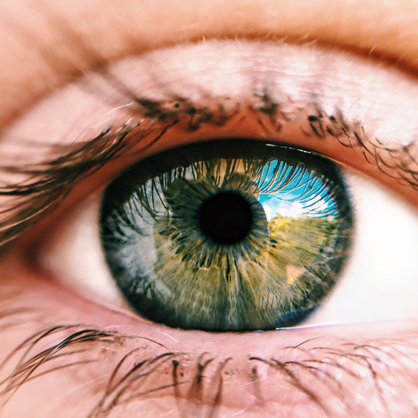 Do Your Eyes a Favor: Discover the Eye-Opening Benefits of these Nutrients!